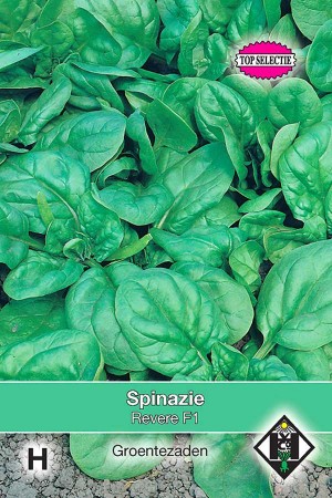 Spinazie Revere F1 (Spinacia) 1700 zaden HE